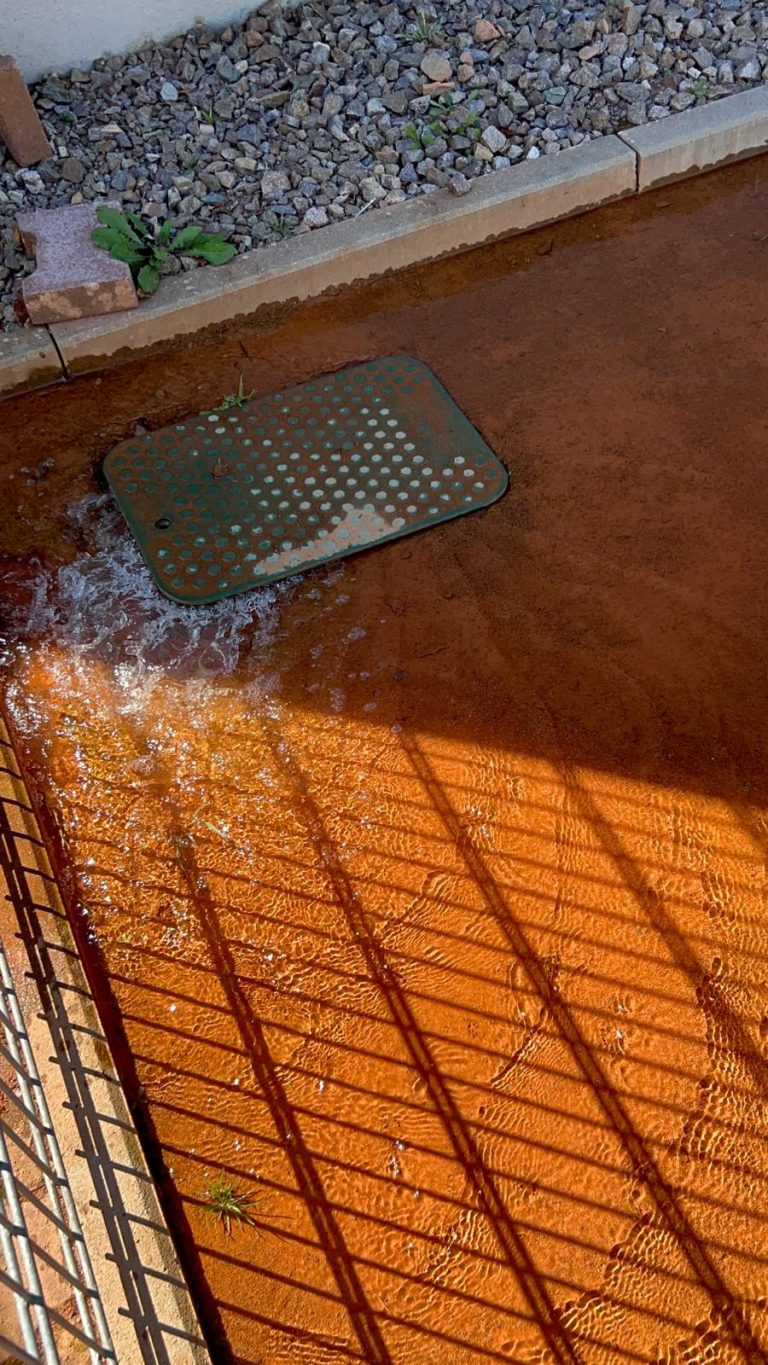 PHOTO-2025-08-11-15-50-24